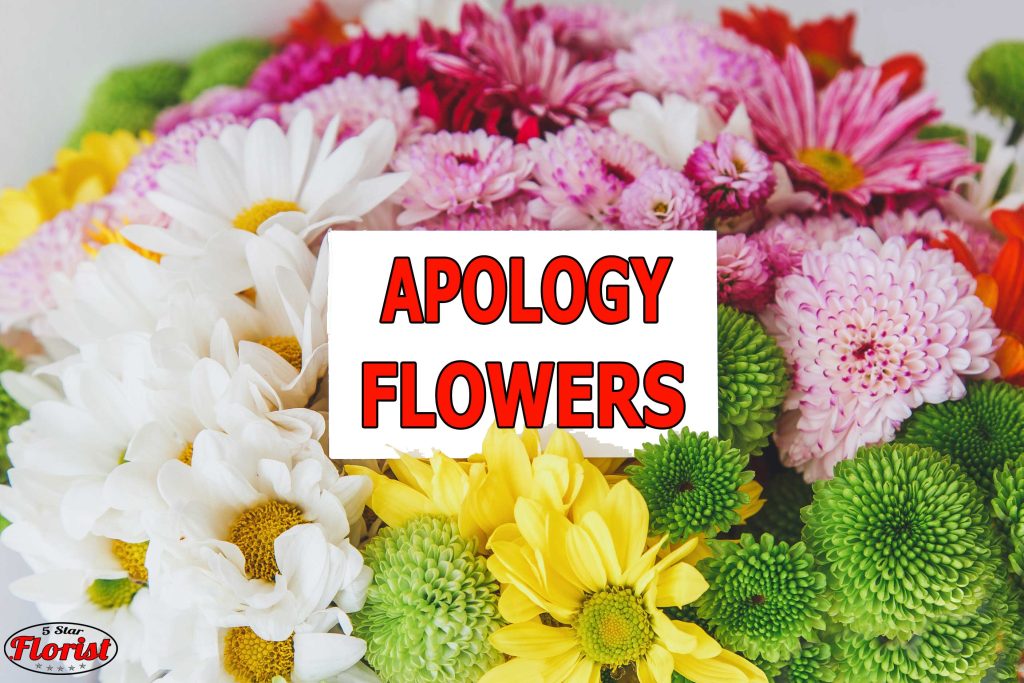 apology flowers Fort Lauderdale