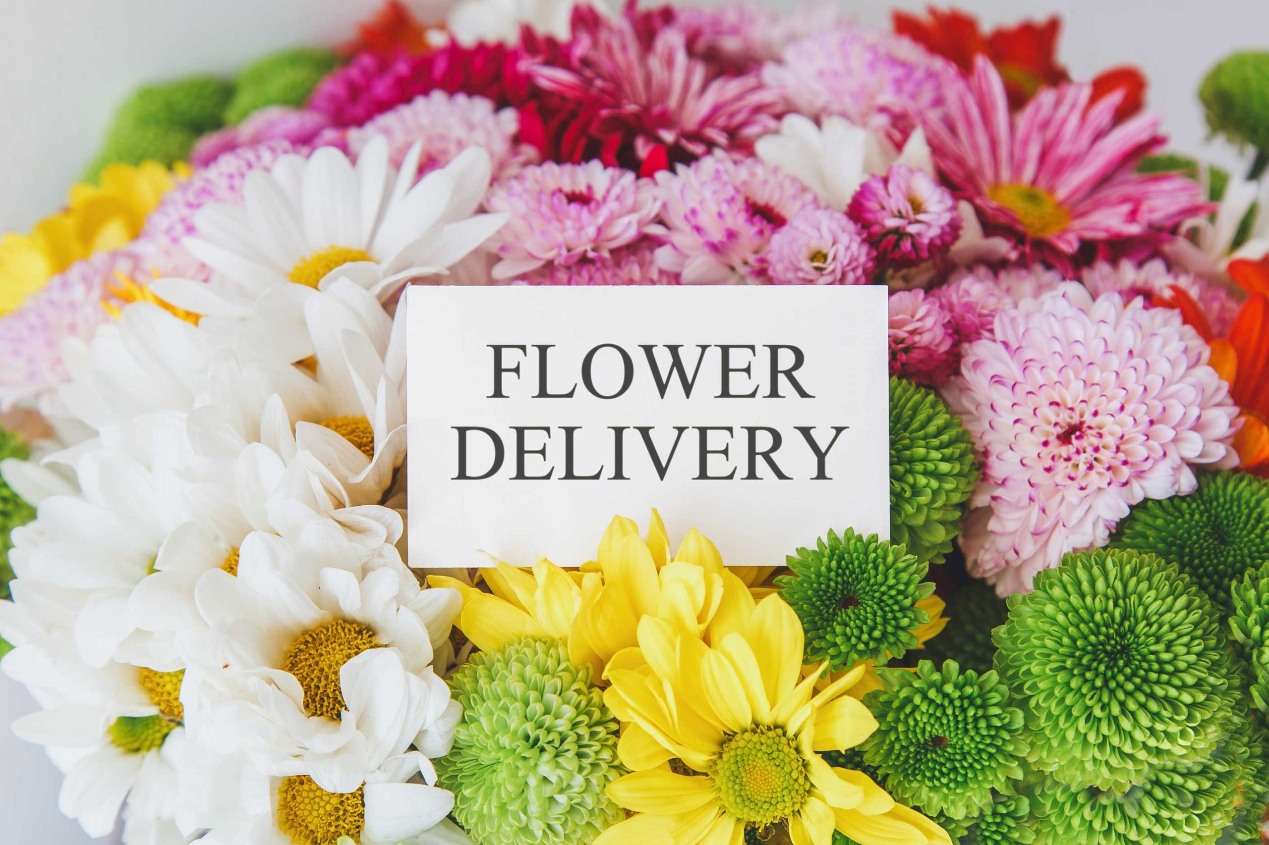 same-day-flower-delivery- Fort Lauderdale